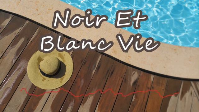 Backsound Santai No Copyright | Noir Et Blanc Vie