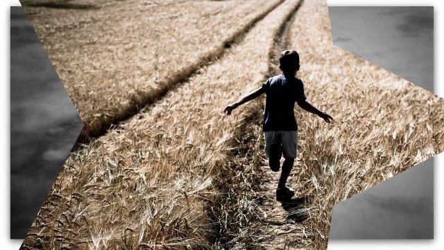 Мария Агапова. Этой дороги не помню даты... Мелодекламация