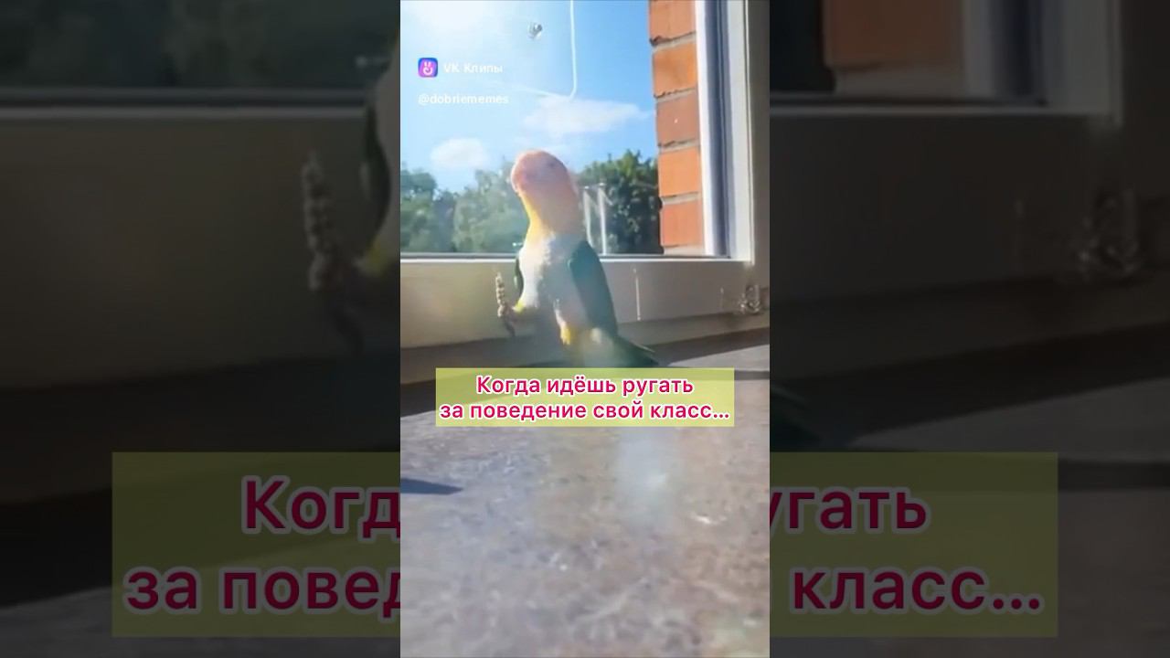 Случай в школе… #классноеруководство #школьныебудни