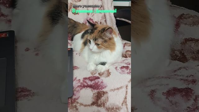 ГОЛОСОВАНИЕ!! Делать ли нам видео на пародию Амонг Ас?! (Голосование есть в нашем Телеграм канале!)