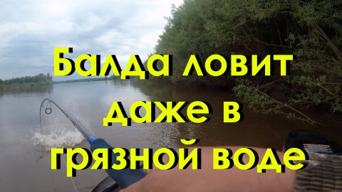 Балда ловит рыбу даже в грязной воде