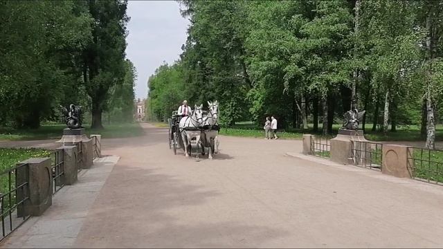 Александровский парк Царское село +25