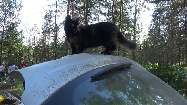 День Рождение Насти. 9 лет.