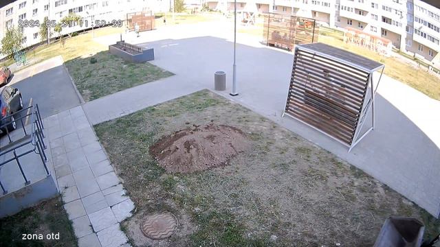 Озеленение двора