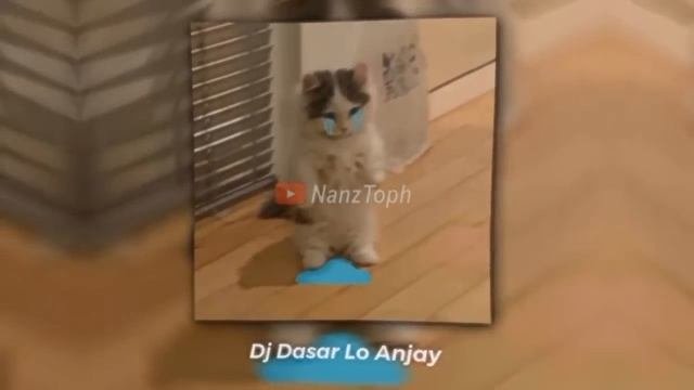 Kumpulan Dj Old 2019 2020 2021 Viral Part 3