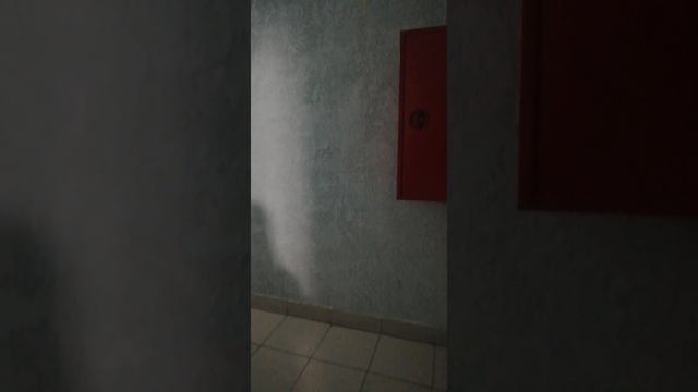 Мы попали в закулисье