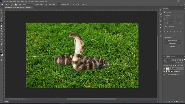 A snake in the grass adobe Photoshop Tutorial 2023 #photoshoptutorial