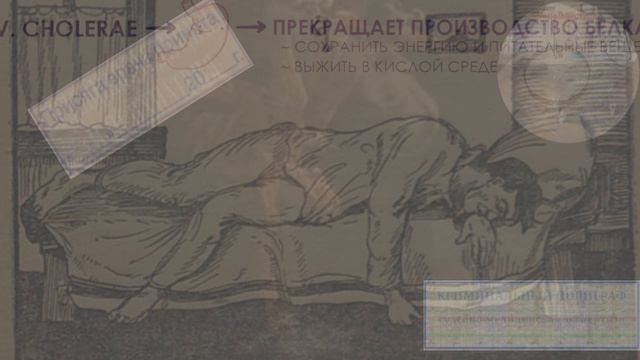 ч.1.Отчего иногда шевелятся покойники(наука).