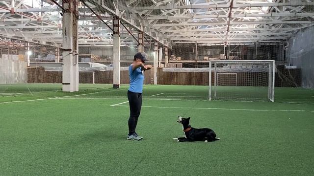 Танцы с собаками Dog dance Тимошина Светлана & Брина. Танец "Магия Востока".Тренировка.02.10.2023 г