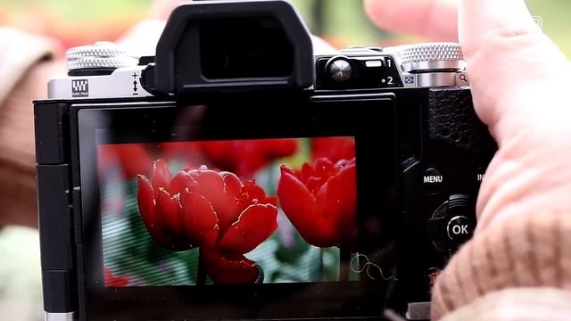 #PP06 - Review: OLYMPUS OMD EM-5 Mark II