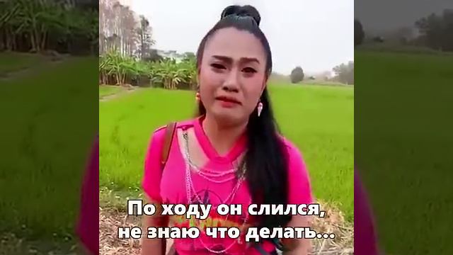 когда Степан потерялся 🤣🤣🤣🤣#shorts #юмор #приколы