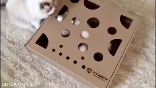 ИГРАЕМ ВСЕМ ПРАЙДОМ! ИГРОВОЕ ПОЛЕ ARTCARTON