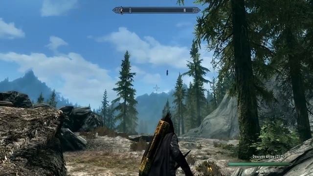 "I Spotted A Morrowind NPC In SKyrim..."