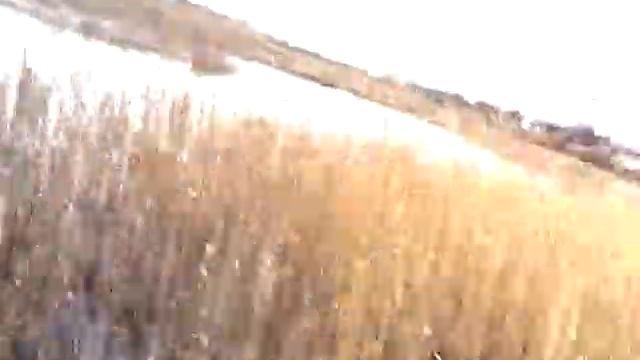 Как живёт село? Можно ли заработать.