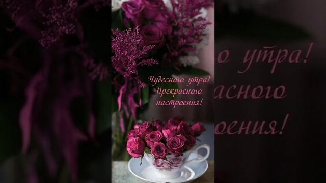 доброе весеннее утречко