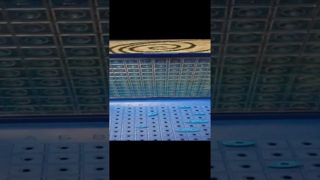 VID_20221103_185837.mp4