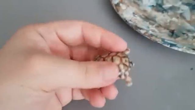 Русское серебро. Прогулка. Реставрация фарфора и керамики. Стихи.