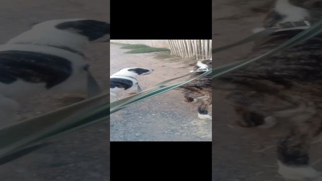 гуляем как всегда!
