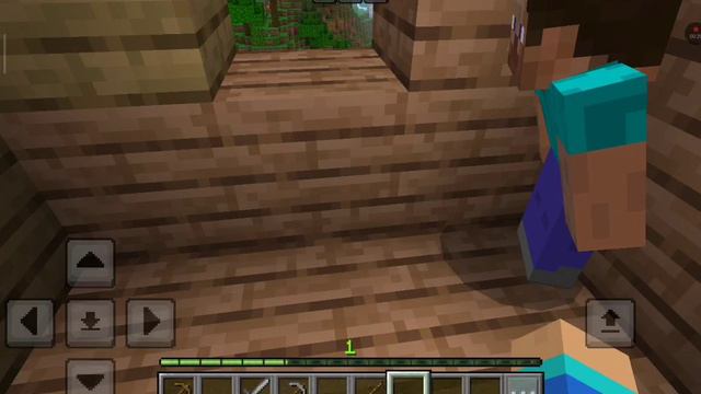 играем в minecraft с двоюродной сестрой)