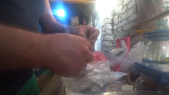 Стимуляция точки долголетия .