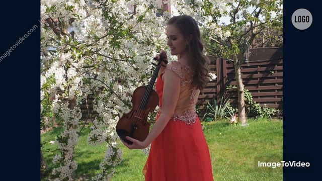 A. Dvorak - Violinkonzert a-moll Op.53, I Satz