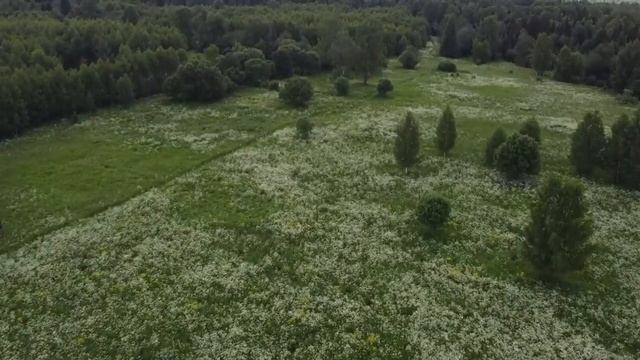 д. Григорово и Малахово Даниловский район Ярославская область