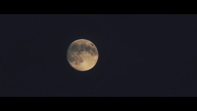 ТОП 10 ЛУЧШИХ НАШИДОВ 2024