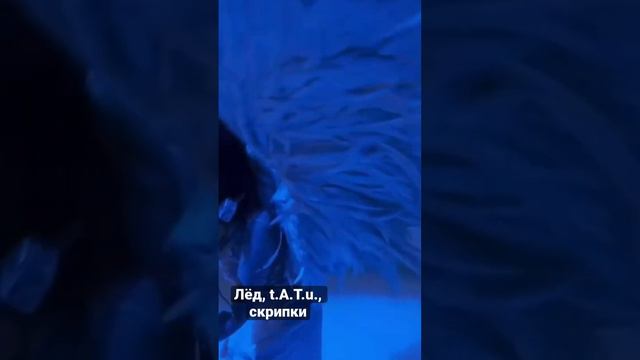 #violin #vplay #скрипка #violinshow #скрипичноешоу