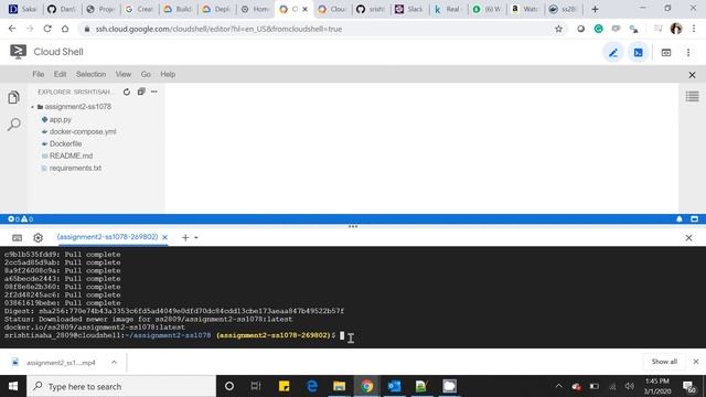 Assignment 2 (dockerizing an app without docker-compose)