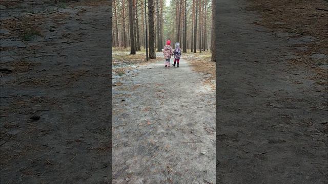родные сестры, лучшие друзья #shorts
