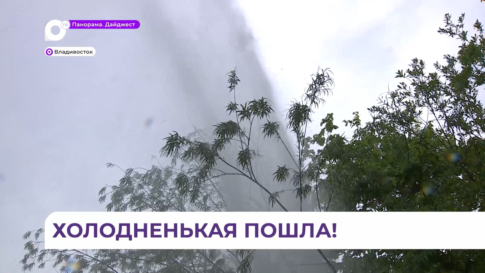 Многометровый фонтан бьет на улице Катерной из-за порыва трубы водоснабжения