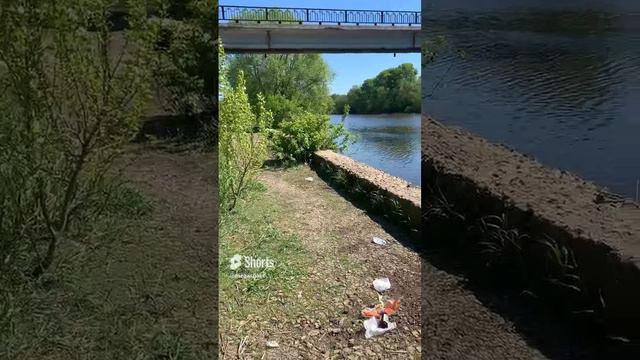 Уборка мусора у реки Клязьма .