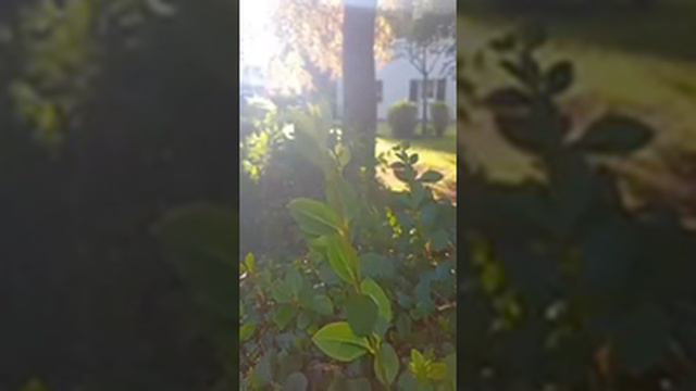 1000011841.mp4