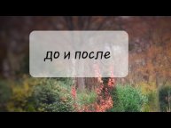 До и после в моем саду! Посмотрите на эти изменения!
