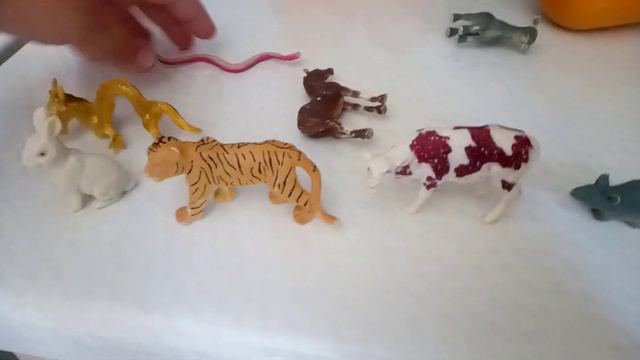 большие яйца животных символов года 🐕🐓🐑🐇🐂🐖🐅🐉🐍🐀🐎🐒