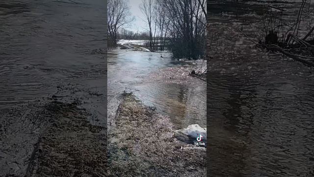 Разлив реки Плетенка. Рязань. апрель 2024.