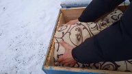 Морозы на подходе, утепление для пчёл.