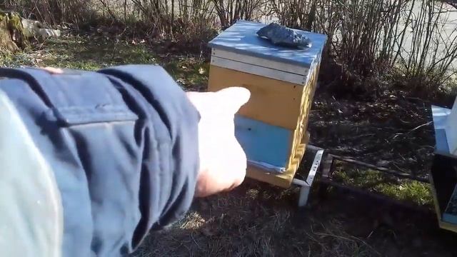ПРОДОЛЖЕНИЕ. 2. МАСТЕР КЛАСС или мечты сбываются