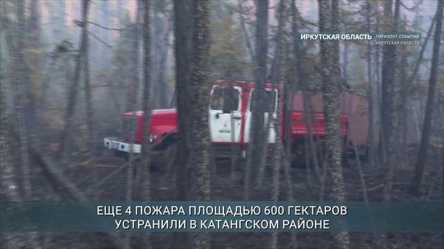 В Приангарье за сутки потушили десять лесных пожаров