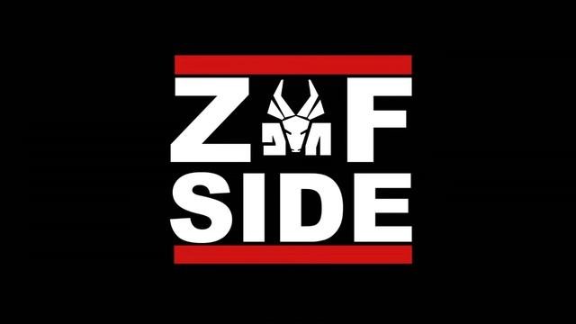 Что такое ZEF?