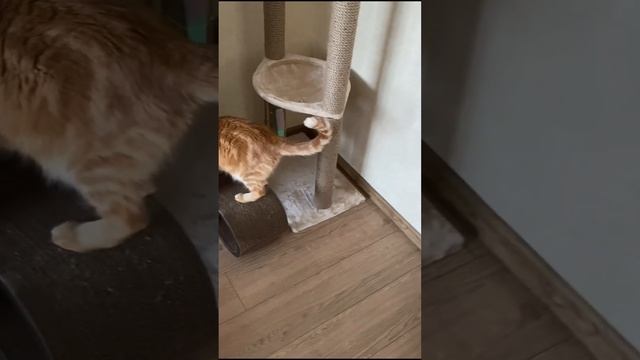 Я с тобой не разговариваю