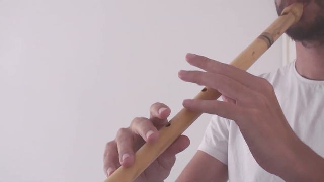 The Acharavi | Alto Whistle