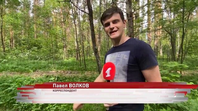 В Ярославской области егеря криками отгоняют диких животных от городов