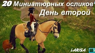 КТО ВЫПУСТИЛ ОСЛИКОВ?  Поиски миниатюрных осликов. (Часть 2)