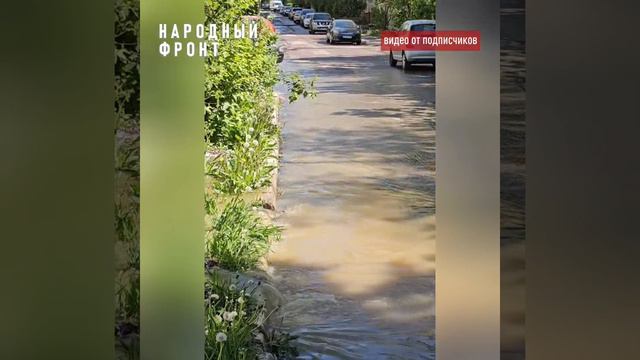 По улице Шишкова, 103А вновь забил канализационный беспредел. 💩