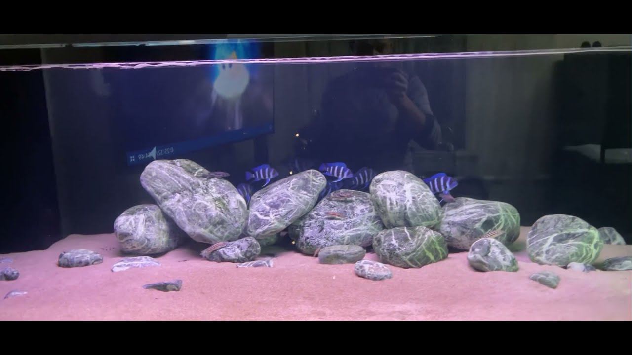 Подключение Fluval FX5