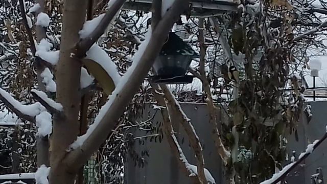 пожелания на поэтической волне
