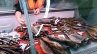 Тухлая рыба на прилавках