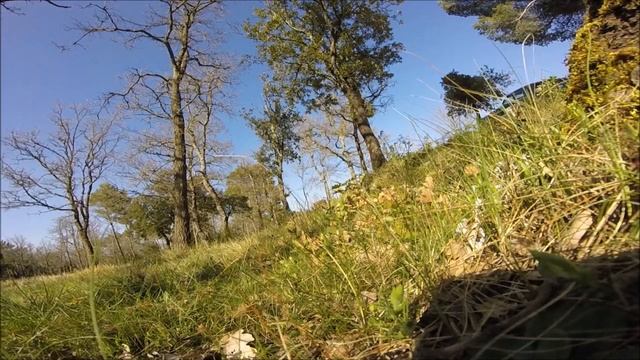 TOYOTA RUNNER part 2 : test drive