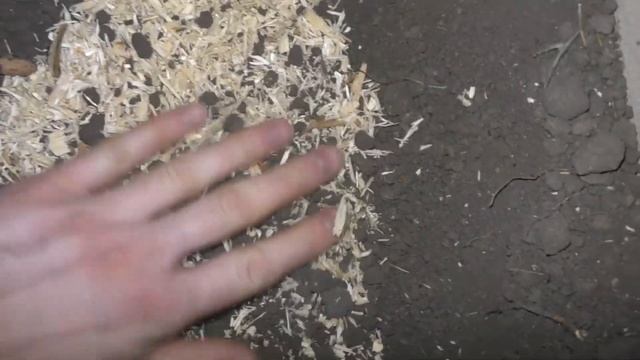 УТЕПЛЕНИЕ ПОТОЛКА ЗА КОПЕЙКИ ДЕШЕВЫЙ ДОМ ИЗ ГАЗОБЕТОНА